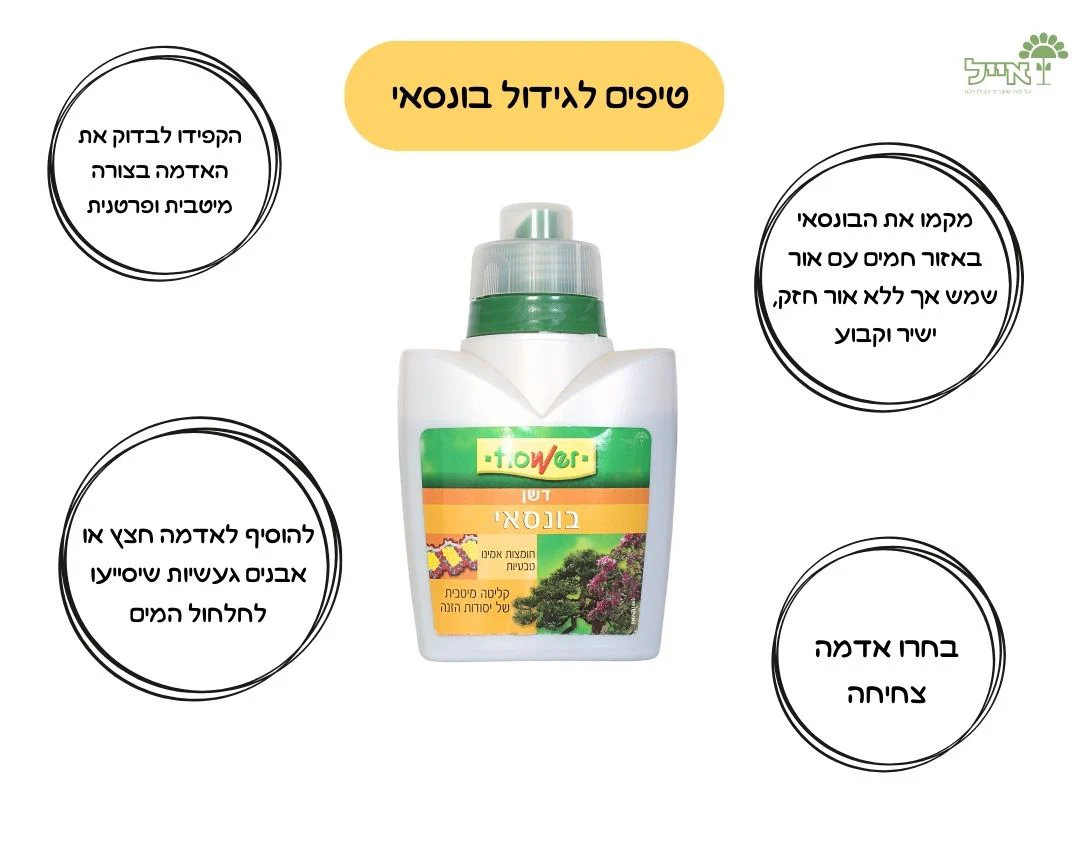 תמונת מוצר 4