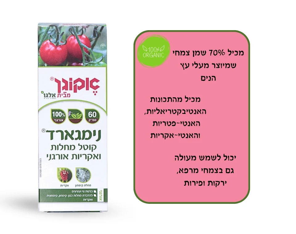 תמונת מוצר 4