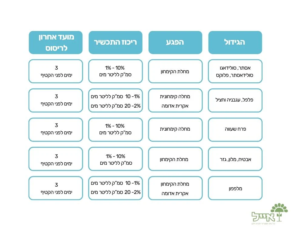 תמונת מוצר 5