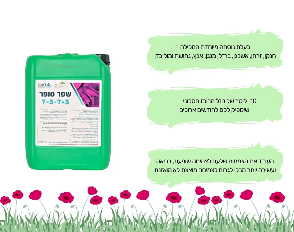 תמונה ממוזערת 2