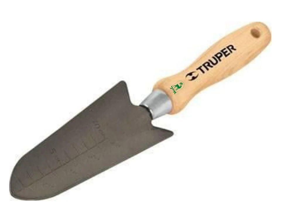 תמונה ממוזערת 1