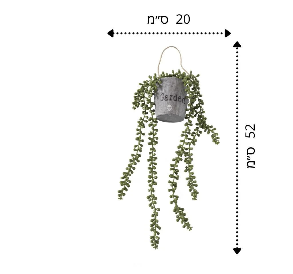 תמונה ממוזערת 2
