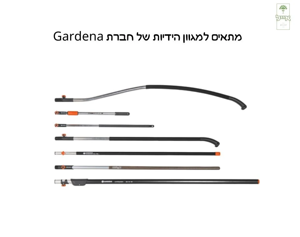 תמונת מוצר 4