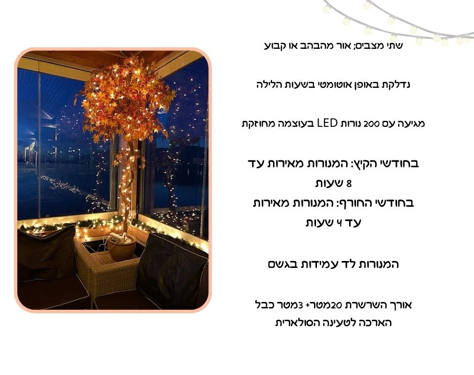 תמונת מוצר 4