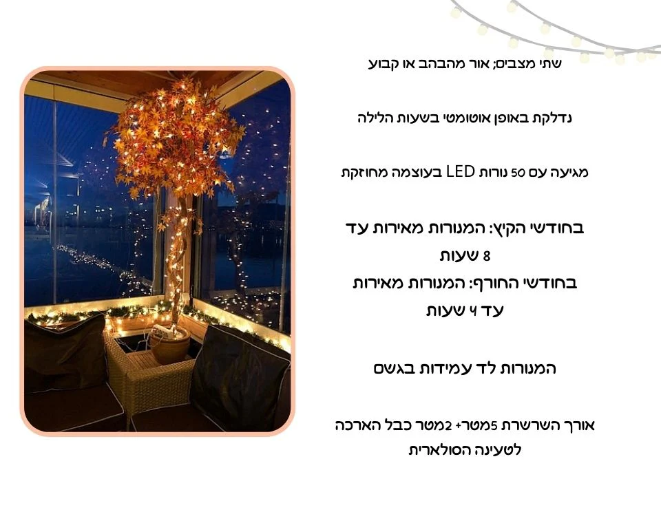 תמונת מוצר 6