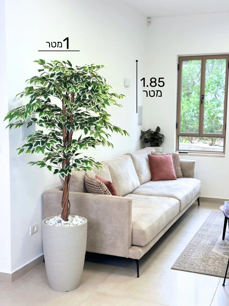 תמונה ממוזערת 2
