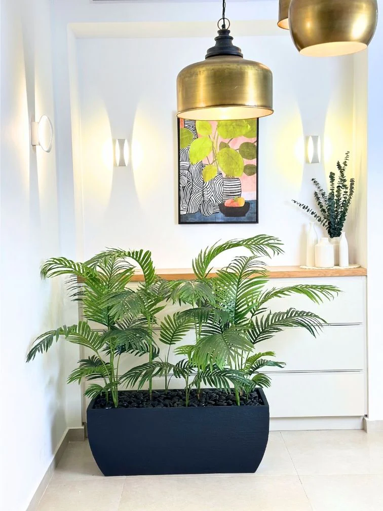 תמונה ממוזערת 2