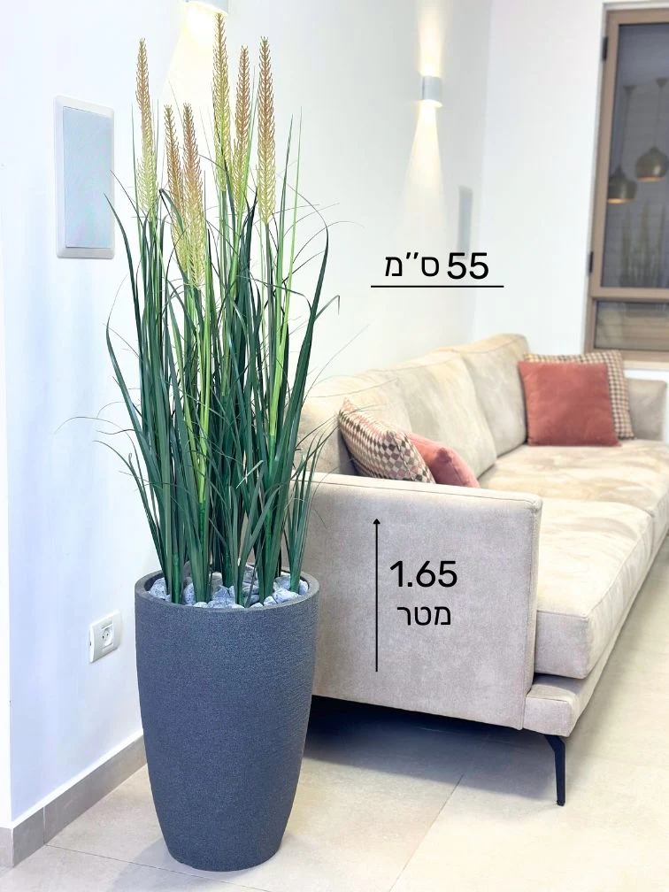 תמונה ממוזערת 2