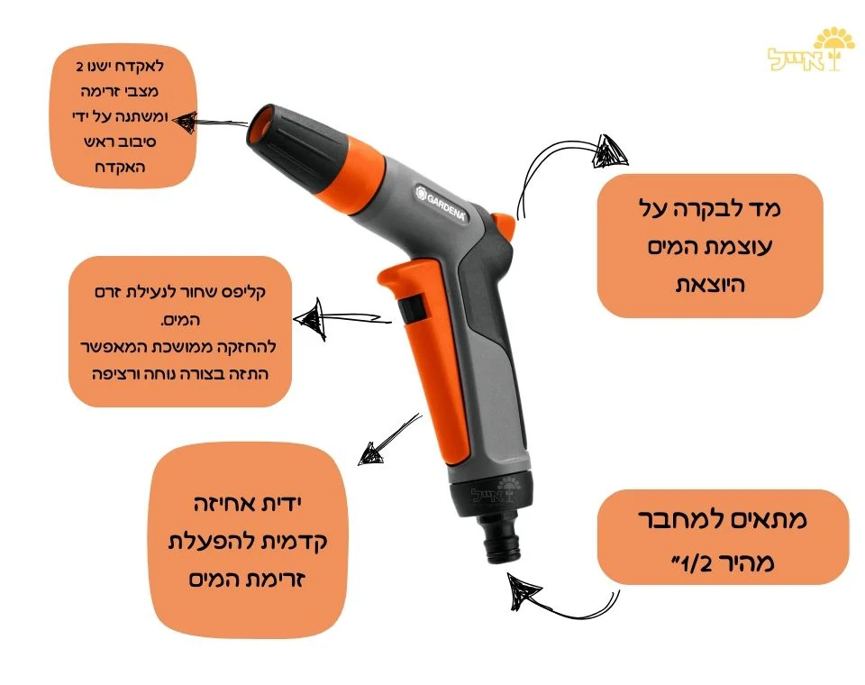 תמונה ממוזערת 2