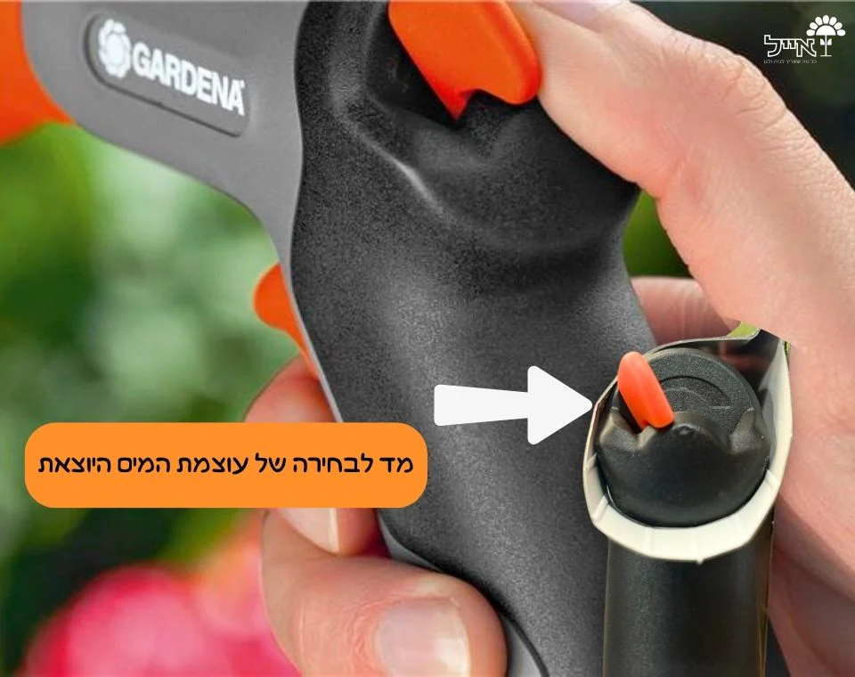 תמונת מוצר 4