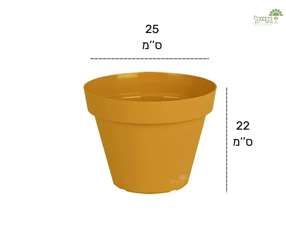 תמונת מוצר 4