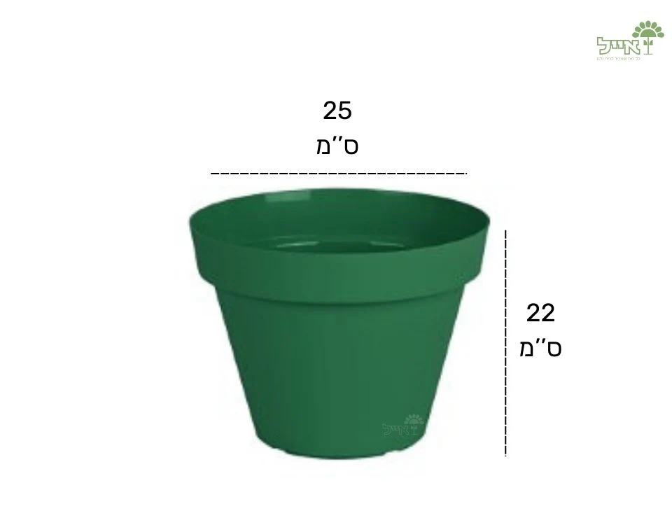 תמונת מוצר 4