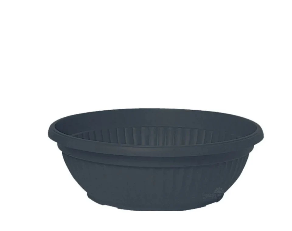 תמונה ממוזערת 1