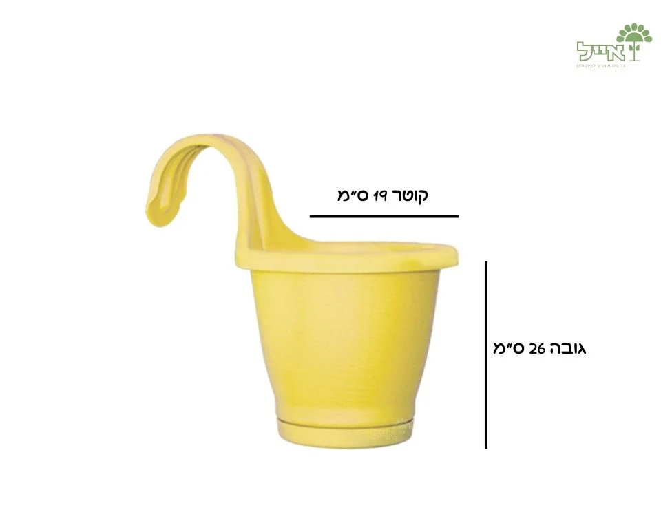 תמונה ממוזערת 2