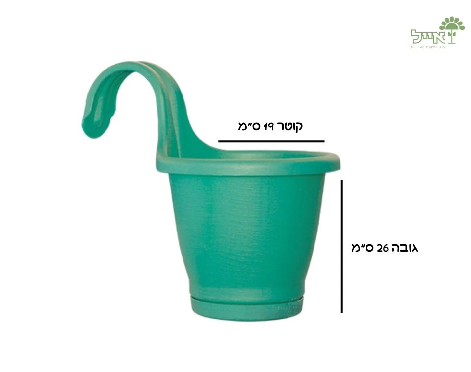 תמונה ממוזערת 2