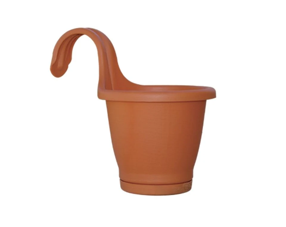 תמונה ממוזערת 1
