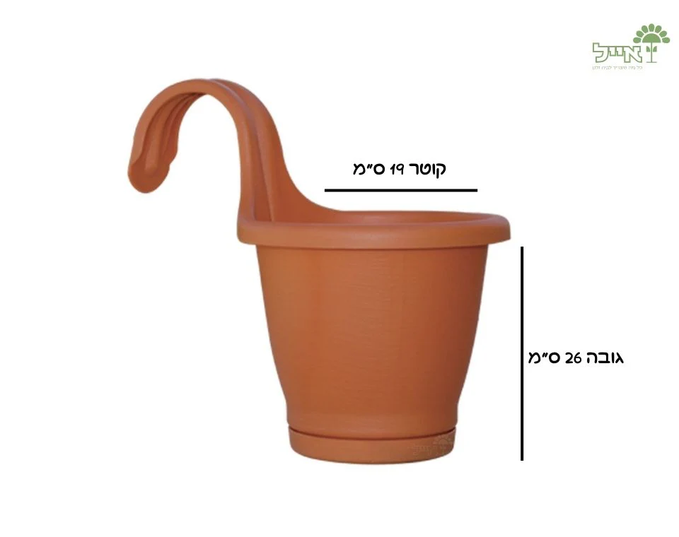 תמונה ממוזערת 2