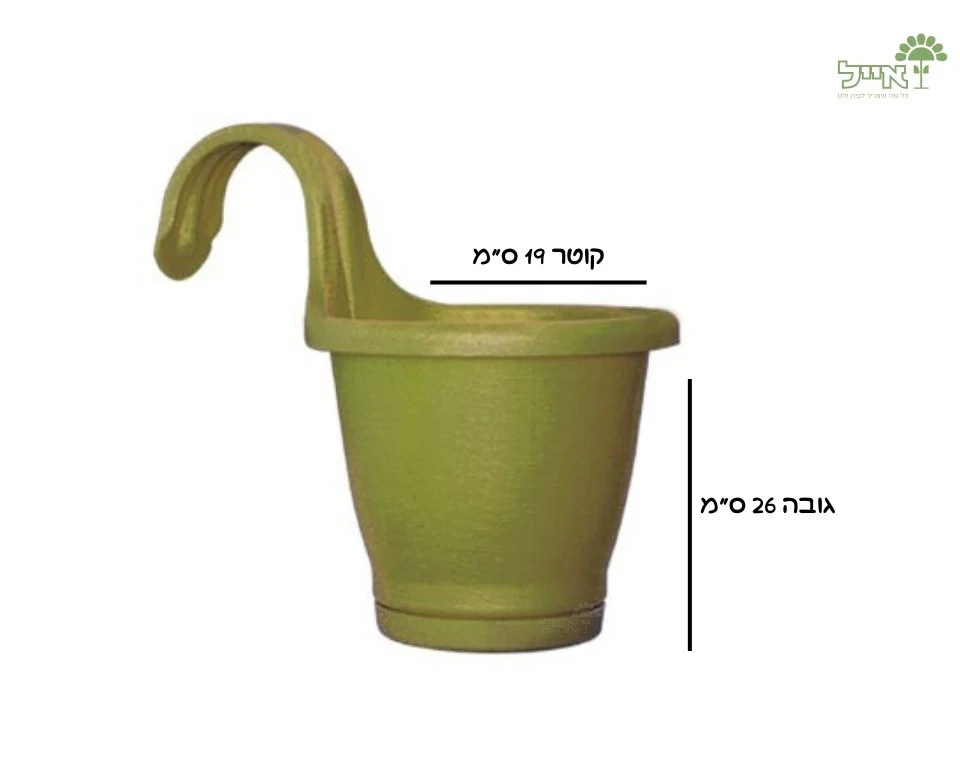 תמונה ממוזערת 2