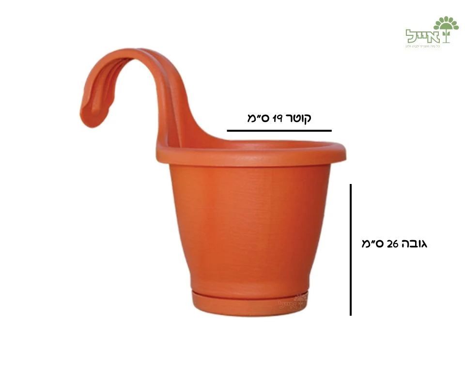 תמונה ממוזערת 2
