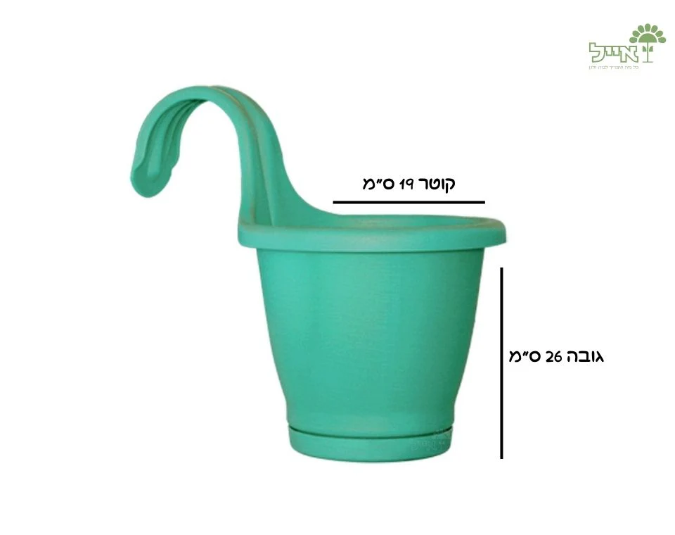 תמונה ממוזערת 2