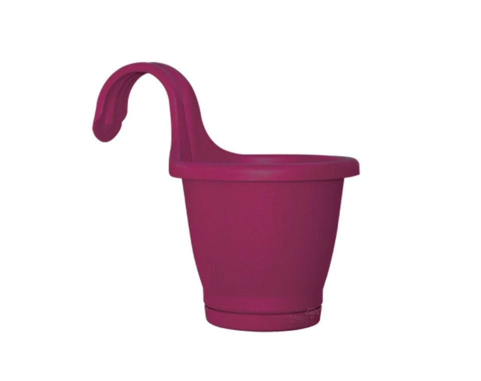 תמונה ממוזערת 1