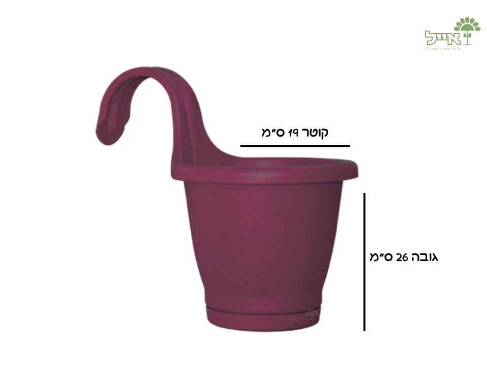 תמונה ממוזערת 2