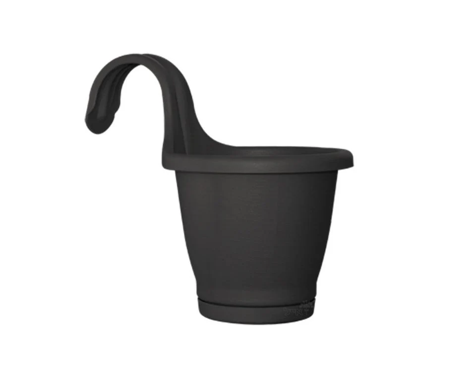 תמונה ממוזערת 1