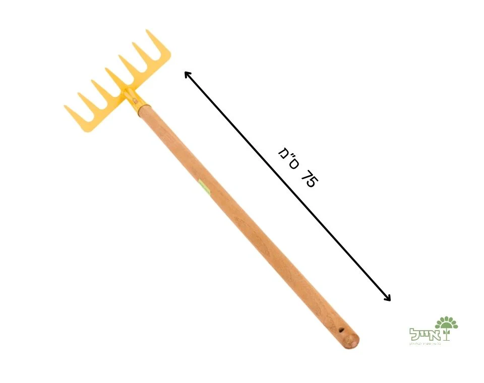 תמונה ממוזערת 2