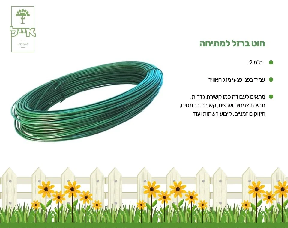 תמונה ממוזערת 2