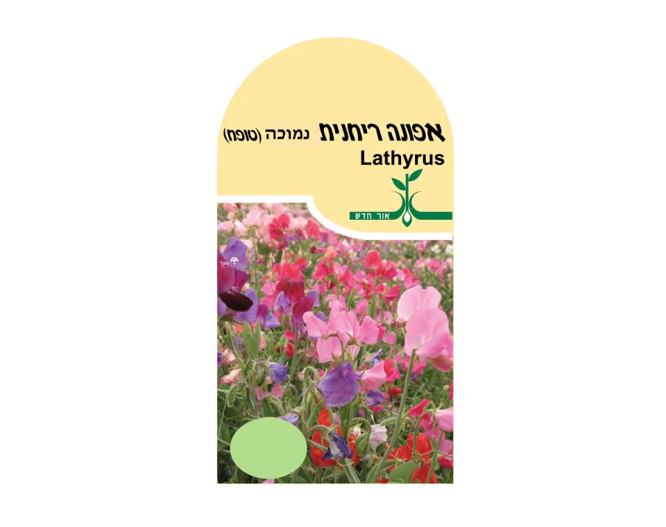 תמונה ממוזערת 1