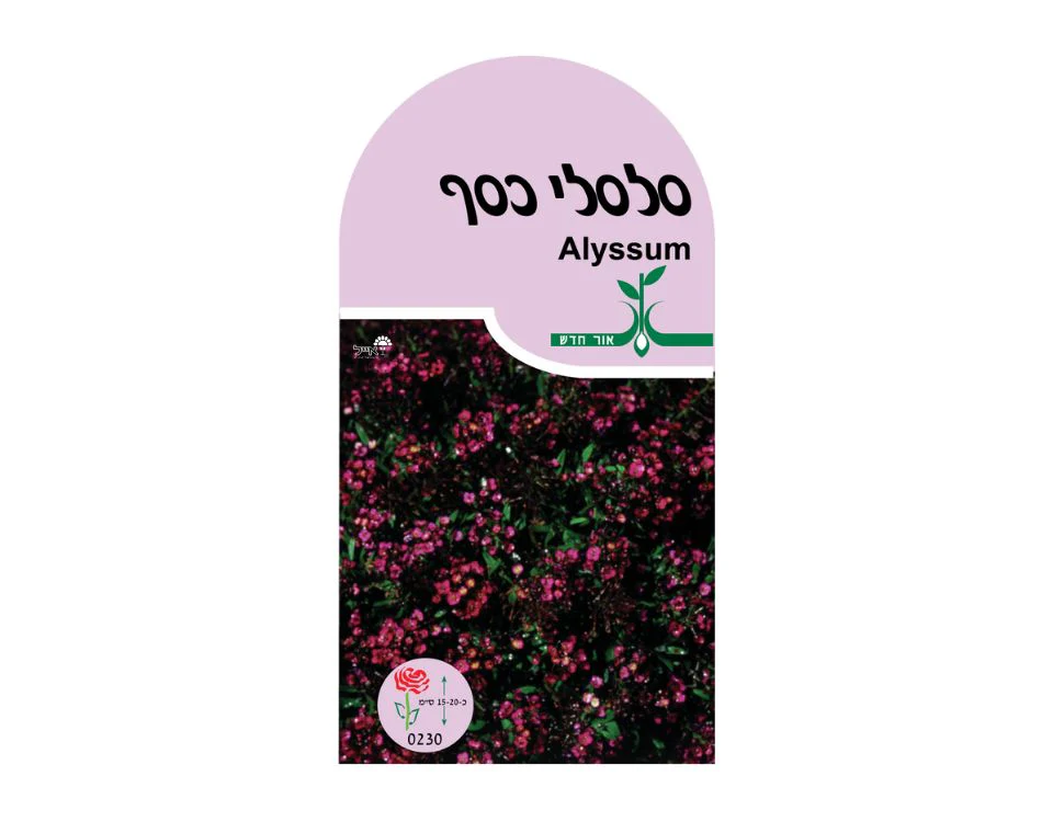 תמונה ממוזערת 1