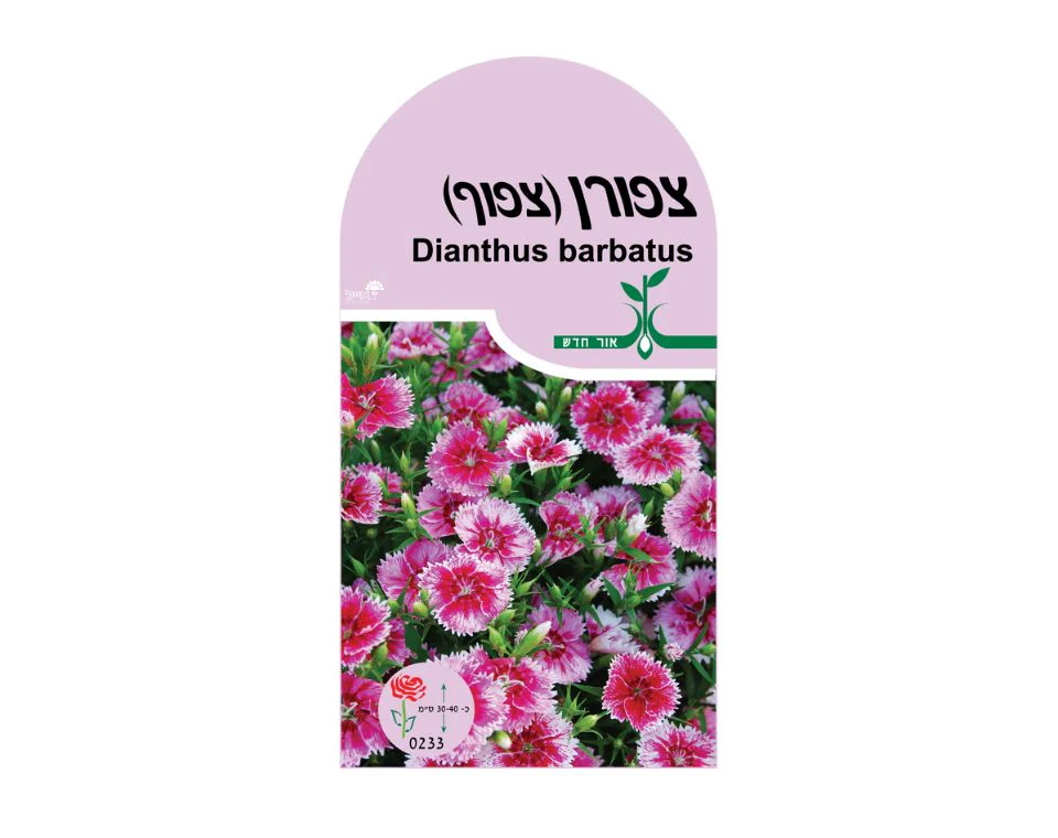 תמונה ממוזערת 1