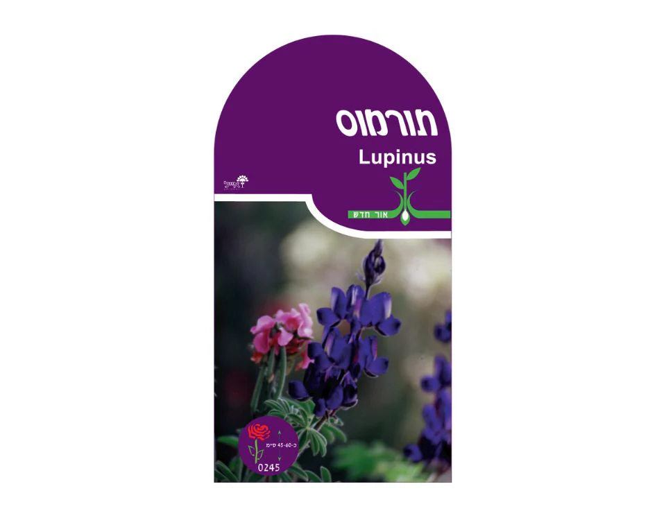 תמונה ממוזערת 1