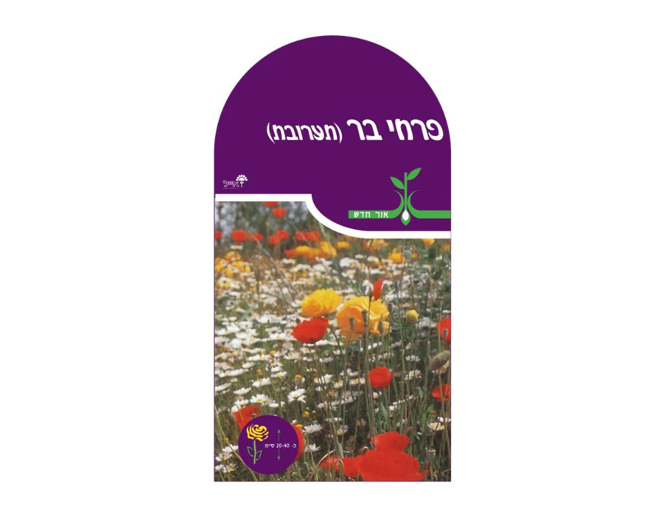 תמונה ממוזערת 1