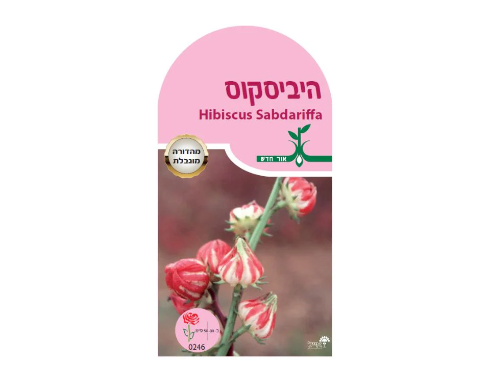 תמונה ממוזערת 1