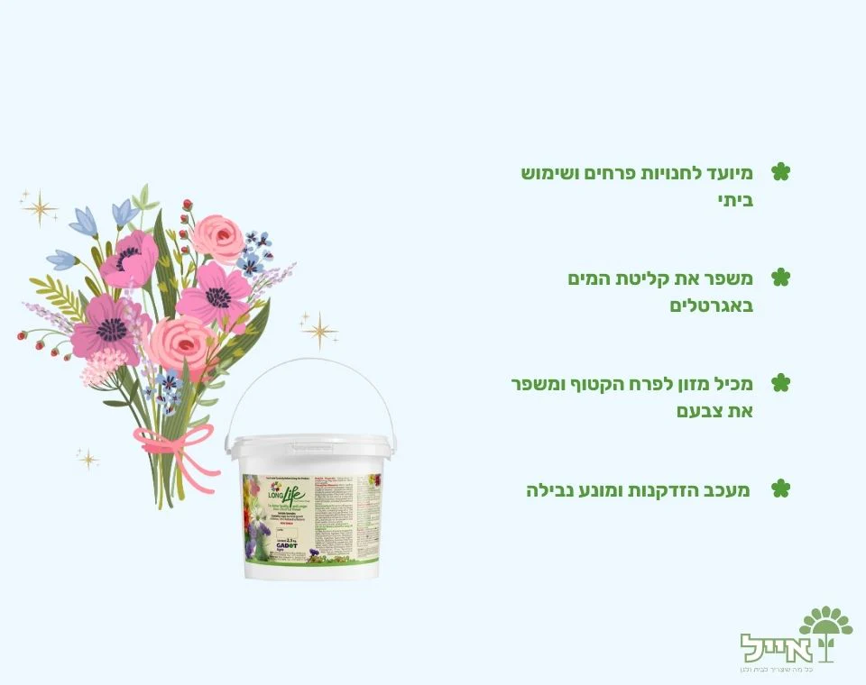 תמונה ממוזערת 2