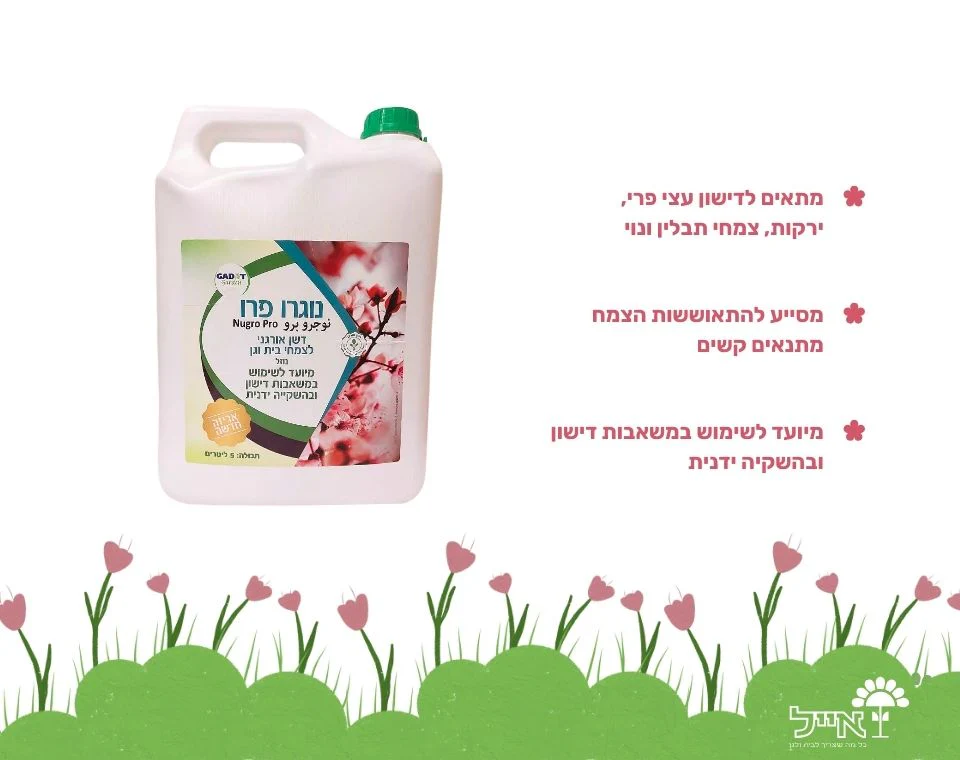 תמונה ממוזערת 2