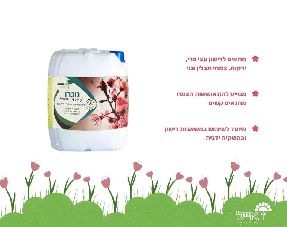 תמונה ממוזערת 2