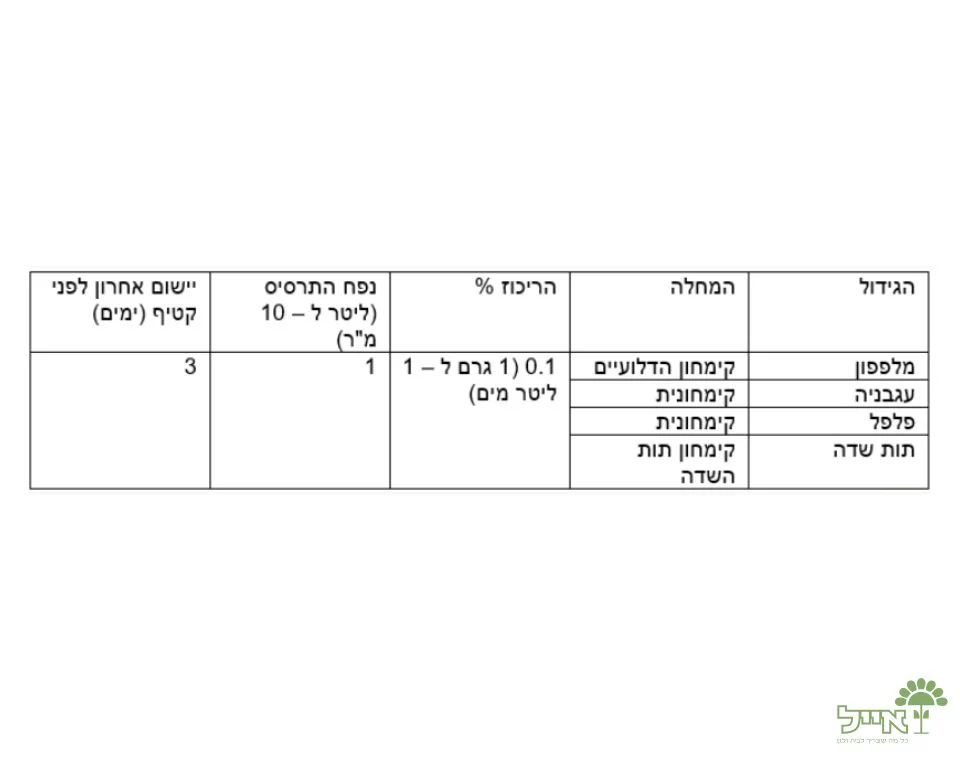 תמונה ממוזערת 2