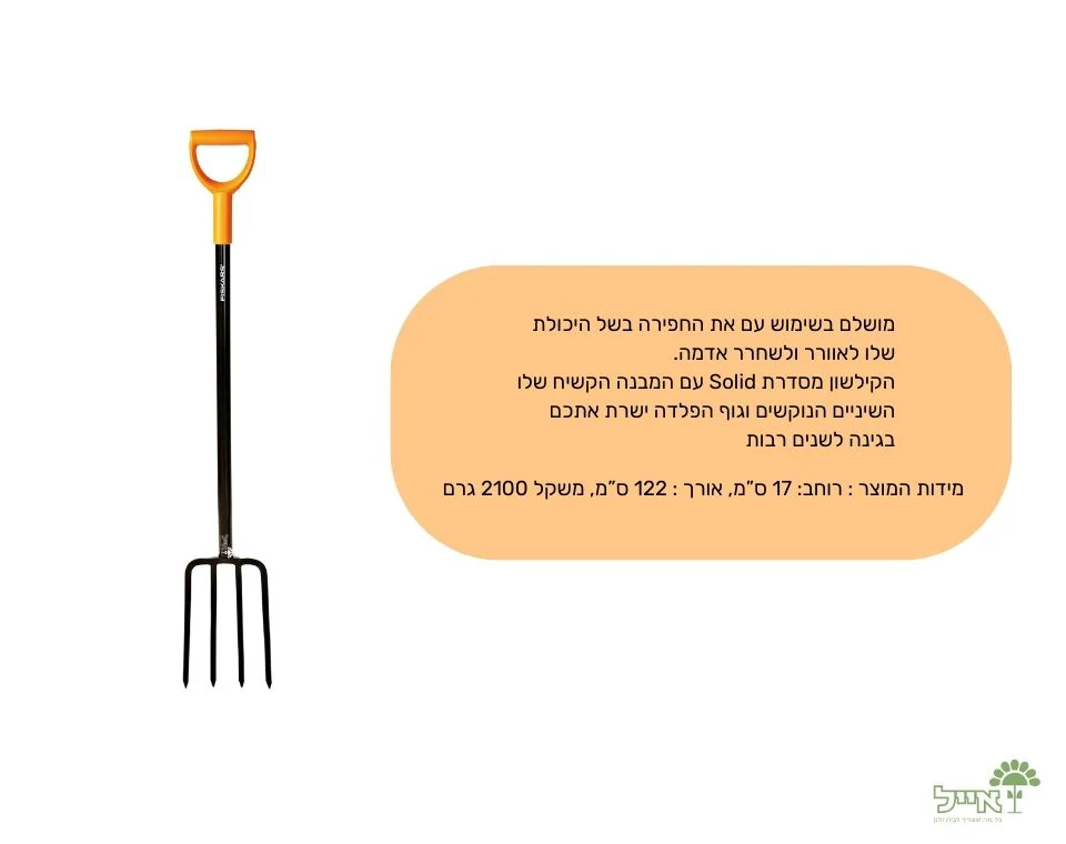 תמונה ממוזערת 2
