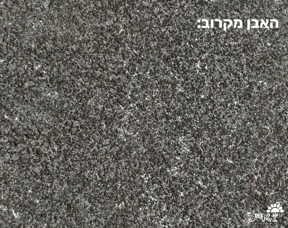 תמונה ממוזערת 2