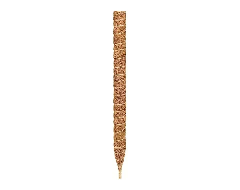 תמונת מוצר 4