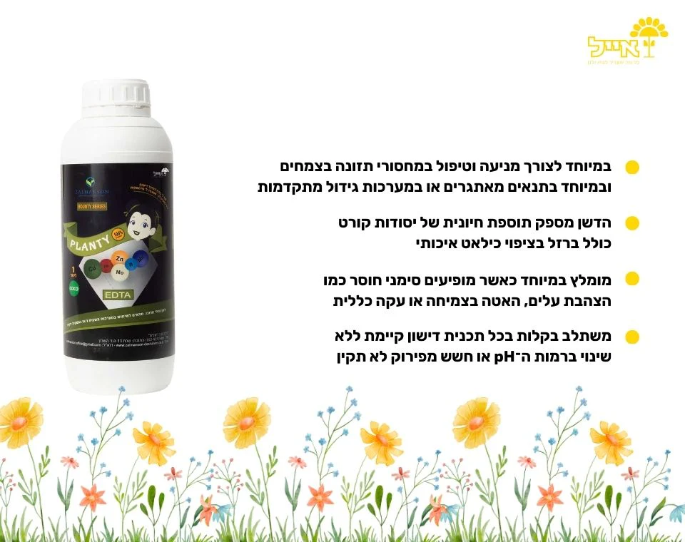 תמונה ממוזערת 2