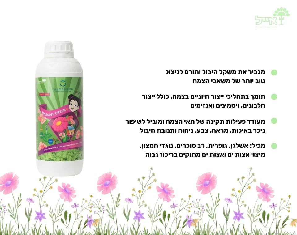 תמונה ממוזערת 2