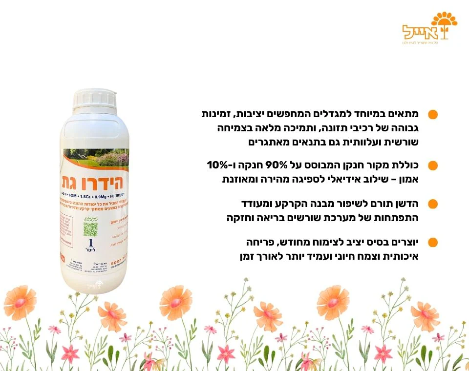 תמונה ממוזערת 2