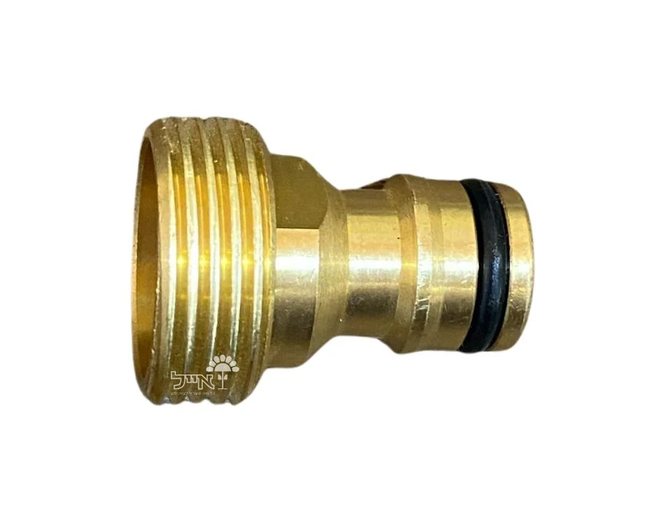 תמונה ממוזערת 1