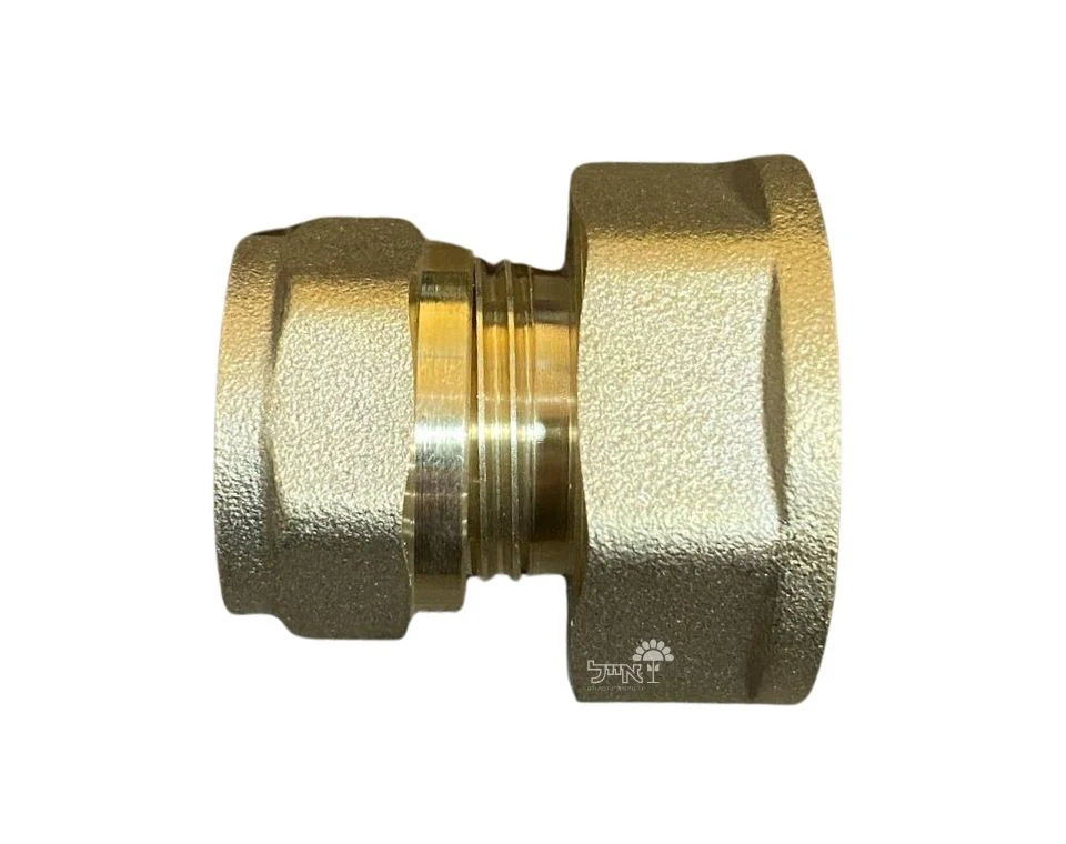 תמונה ממוזערת 1