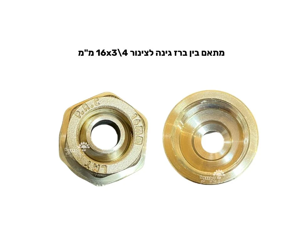 תמונה ממוזערת 2