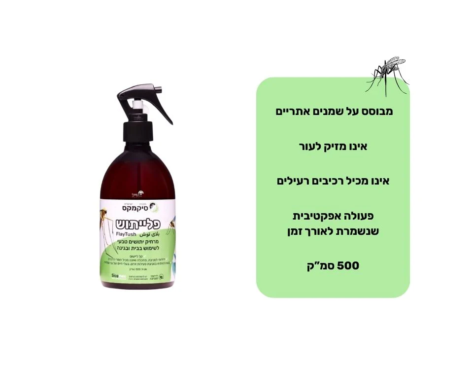 תמונה ממוזערת 2