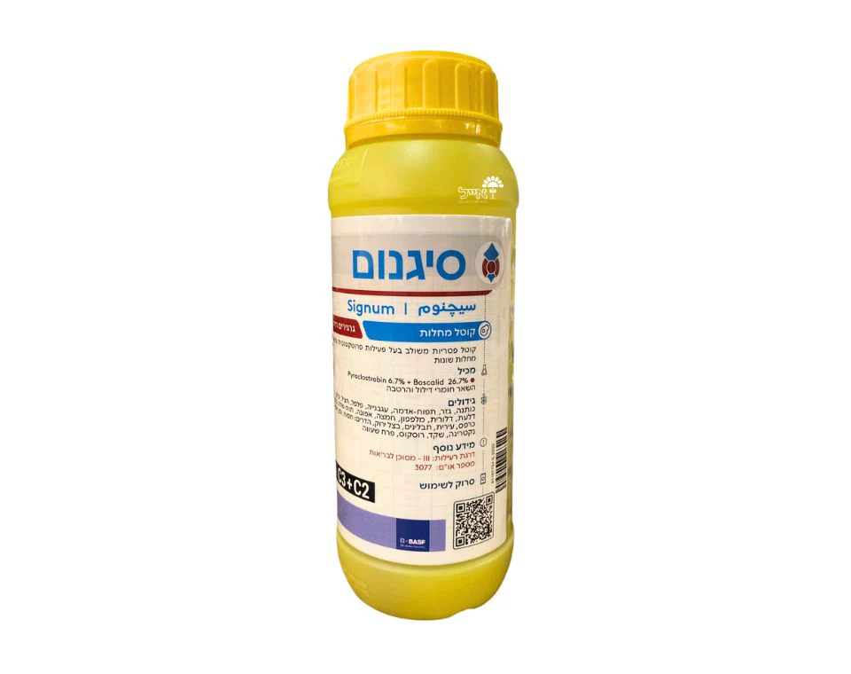 תמונה ממוזערת 1